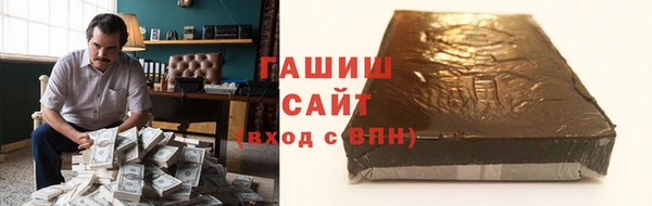 гашик Няндома