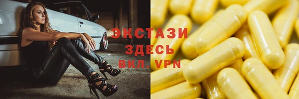 гашик Няндома