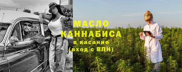 гашик Няндома