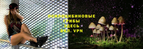 гашик Няндома