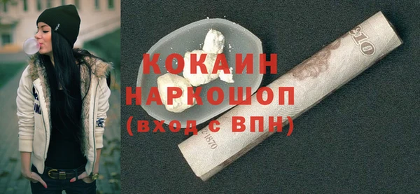 гашик Няндома