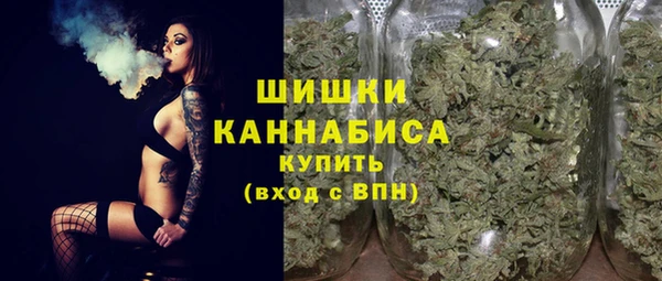 гашик Няндома