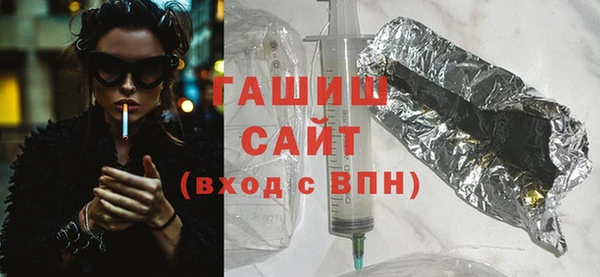 гашик Няндома