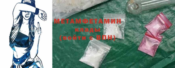 гашик Няндома