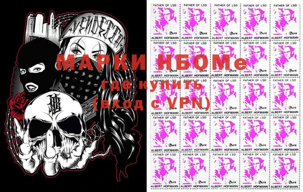гашик Няндома