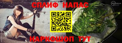 гидра Гай