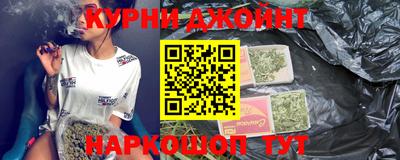 гидра Гай