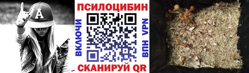 Псилоцибиновые грибы мухоморы блэк спрут онион Сегежа купить наркоту