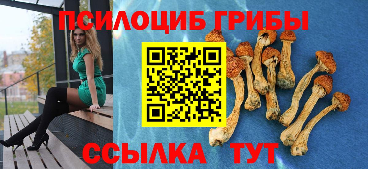 купить  сайты  Псилоцибиновые грибы мухоморы  Вход с VPN  Сегежа 