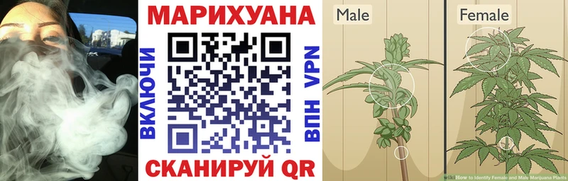 Канабис White Widow  Сегежа 